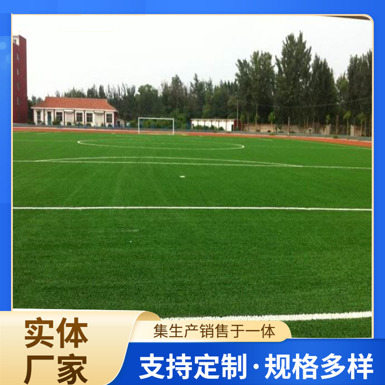 石嘴山市塑胶跑道人造草坪 - 方案
